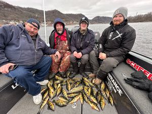 Mississippi River Jumbo Perch Guided Trips