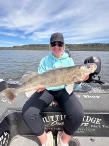 MADDY's Big Walleye Again